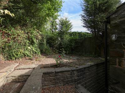 Picture 23